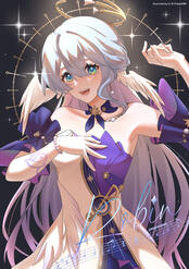 Robin HSR Robin HSR